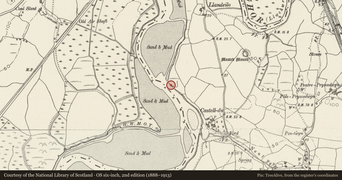 Ordnance Survey six-inch map, 2nd edition (1888–1913) covering the location of Viaduct at Morlais Junction East (partly in Llanedi community), Grovesend and Waungron, Swansea, with a pin at the register's coordinates