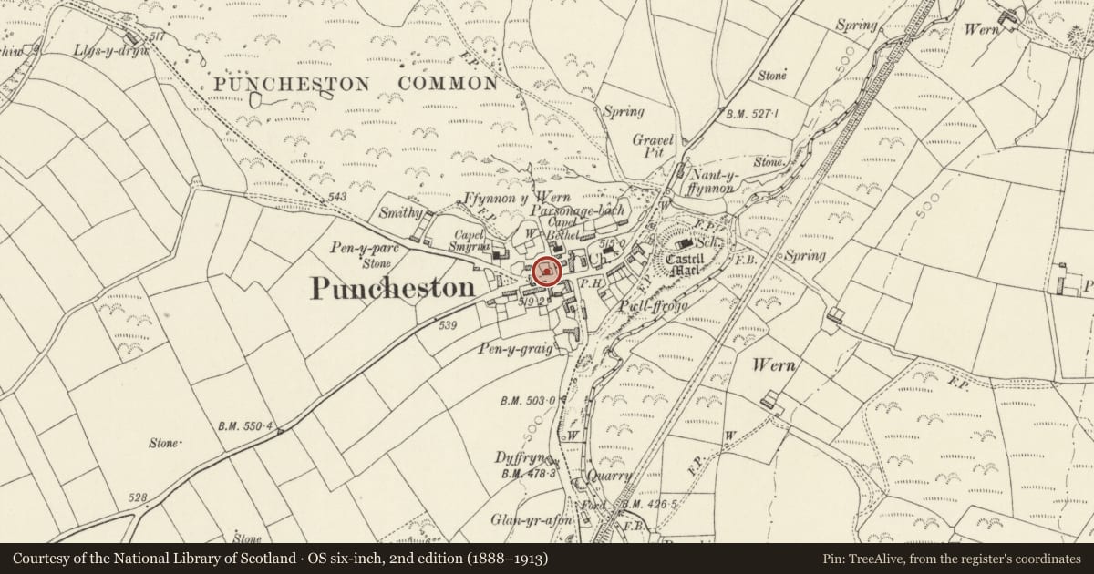 Ordnance Survey six-inch map, 2nd edition (1888–1913) covering the location of Ty Newydd, Puncheston, Pembrokeshire, with a pin at the register's coordinates