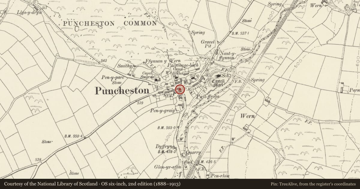 Ordnance Survey six-inch map, 2nd edition (1888–1913) covering the location of White Hart, Puncheston, Pembrokeshire, with a pin at the register's coordinates