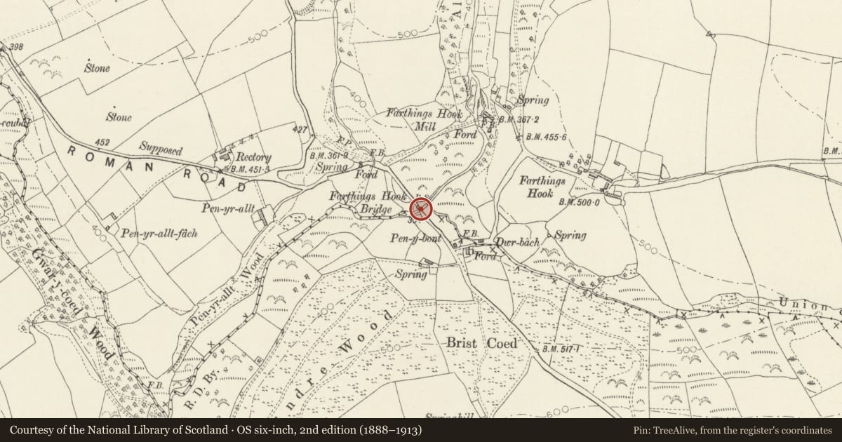 Ordnance Survey six-inch map, 2nd edition (1888–1913) covering the location of Farthings Hook Bridge (partly in the New Moat community), Puncheston, Pembrokeshire, with a pin at the register's coordinates
