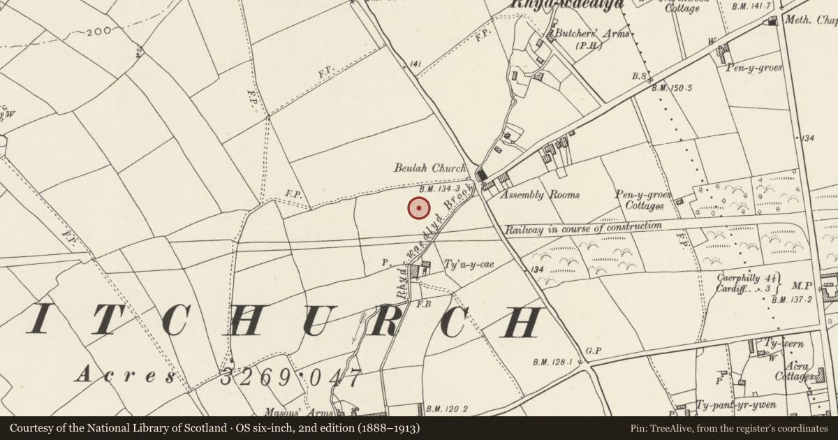 Ordnance Survey six-inch map, 2nd edition (1888–1913) covering the location of No. 26 Pen-y-dre and No. 2 Lon-y-dail, Rhiwbina, Cardiff, with a pin at the register's coordinates
