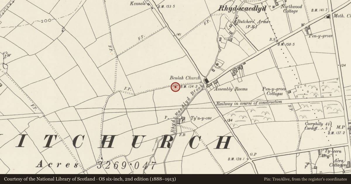 Ordnance Survey six-inch map, 2nd edition (1888–1913) covering the location of Nos. 8 & 10 Lon-y-dail, Rhiwbina, Cardiff, with a pin at the register's coordinates