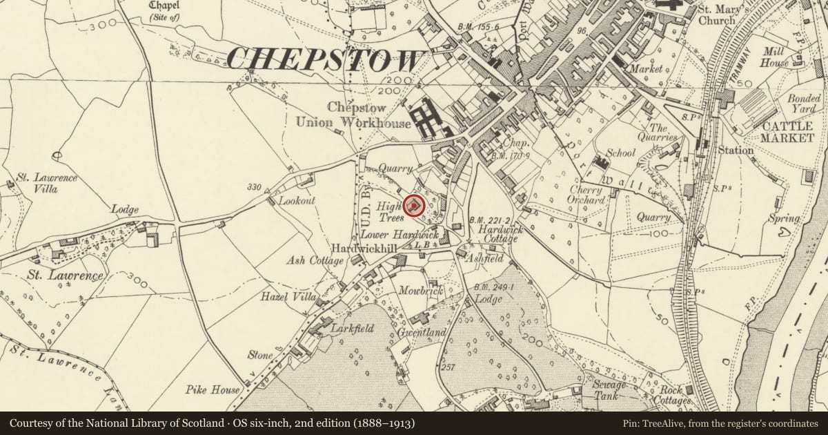Ordnance Survey six-inch map, 2nd edition (1888–1913) covering the location of High Trees, Chepstow, Monmouthshire, with a pin at the register's coordinates