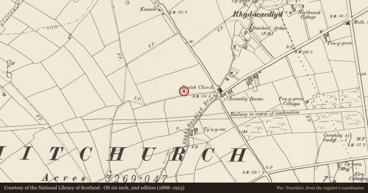 Ordnance Survey six-inch map, 2nd edition (1888–1913) covering the location of Nos. 12 & 14 Lon-y-dail, Rhiwbina, Cardiff, with a pin at the register's coordinates