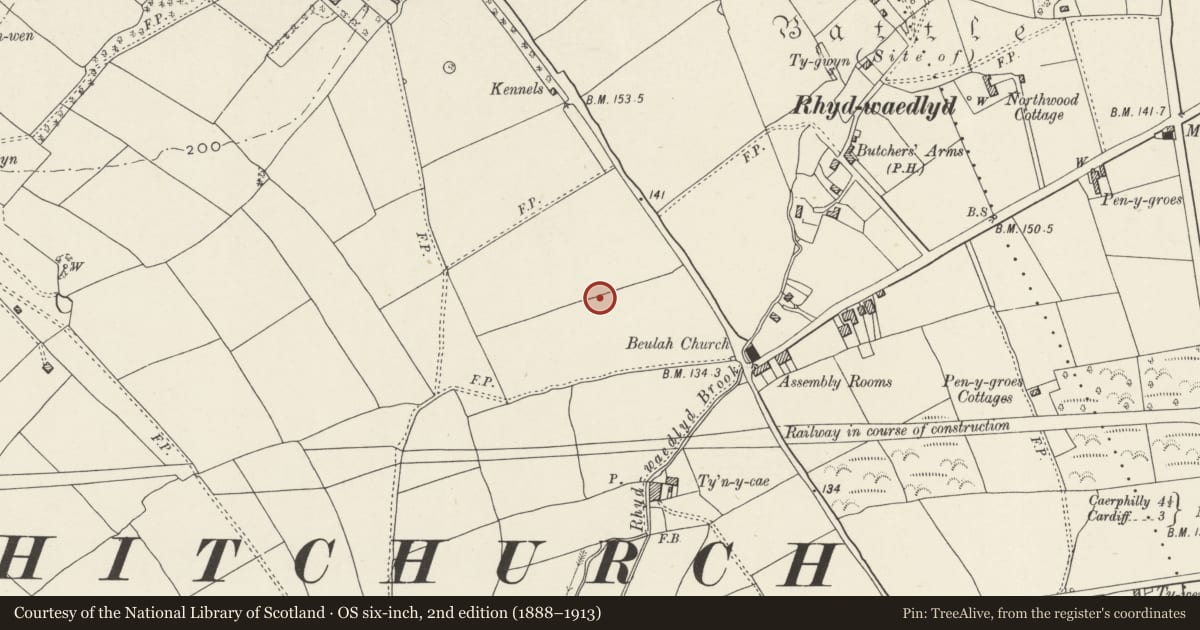 Ordnance Survey six-inch map, 2nd edition (1888–1913) covering the location of Nos. 24 & 26 Lon-y-dail, Rhiwbina, Cardiff, with a pin at the register's coordinates