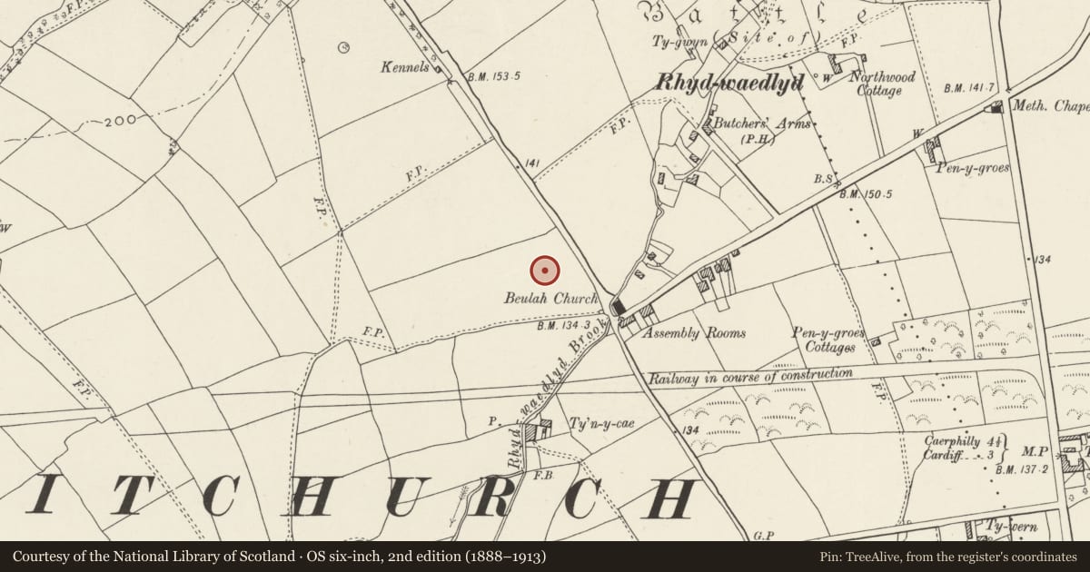 Ordnance Survey six-inch map, 2nd edition (1888–1913) covering the location of Nos. 11-14 Y Groes (consecutive), Rhiwbina, Cardiff, with a pin at the register's coordinates
