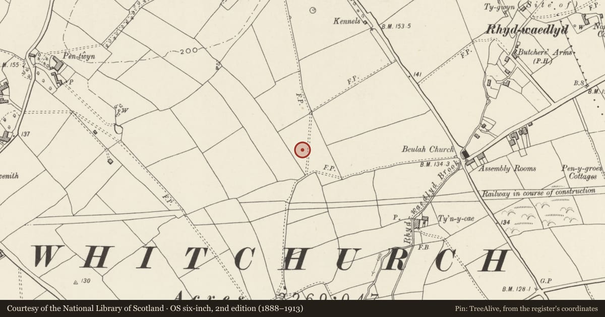 Ordnance Survey six-inch map, 2nd edition (1888–1913) covering the location of Hafod Lwyd, Rhiwbina, Cardiff, with a pin at the register's coordinates