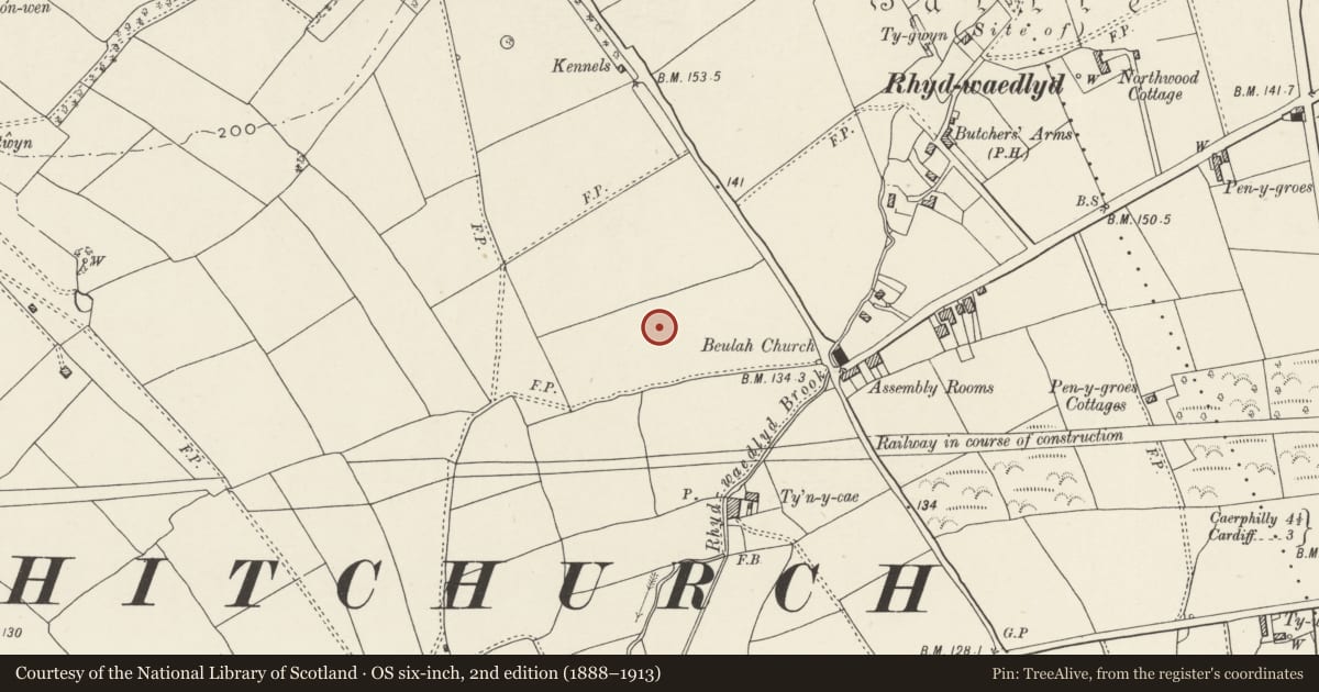 Ordnance Survey six-inch map, 2nd edition (1888–1913) covering the location of Nos. 21 & 23 Lon-y-dail, Rhiwbina, Cardiff, with a pin at the register's coordinates