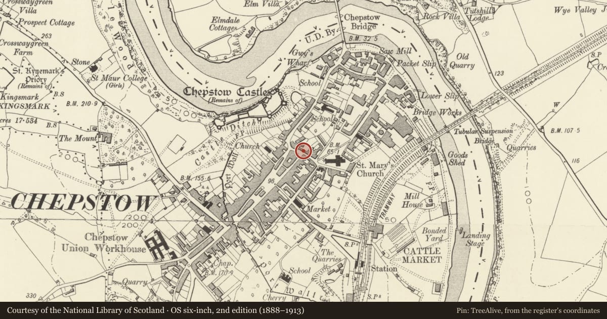 Ordnance Survey six-inch map, 2nd edition (1888–1913) covering the location of Sir Walter Montague Almshouses, Chepstow, Monmouthshire, with a pin at the register's coordinates