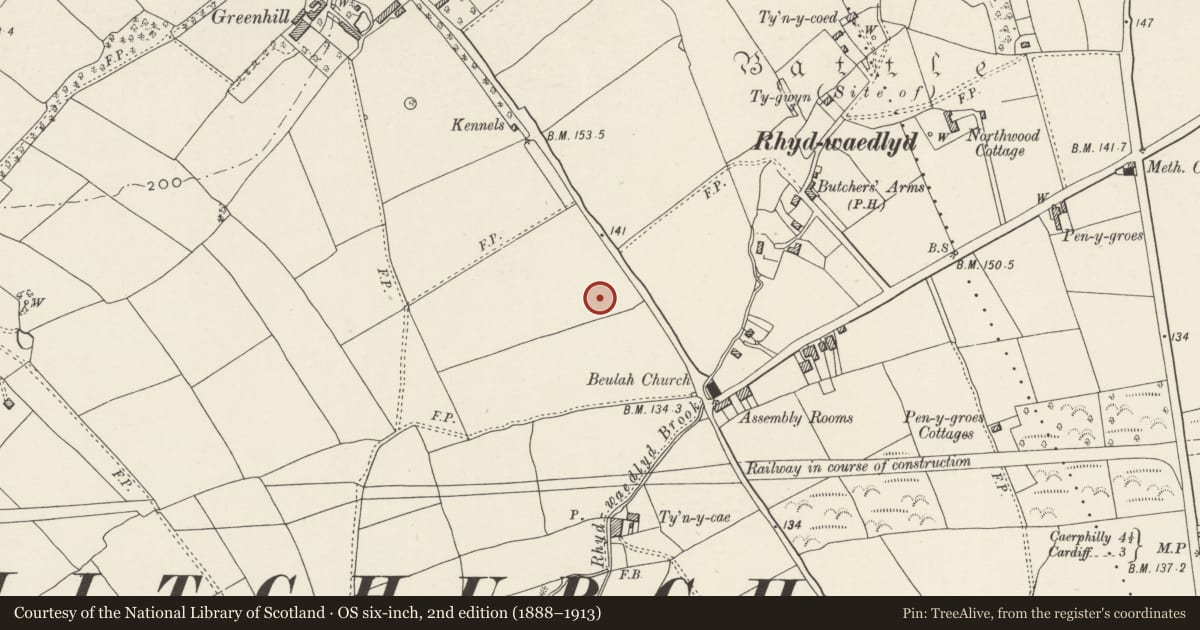 Ordnance Survey six-inch map, 2nd edition (1888–1913) covering the location of Nos. 5 & 7 Lon Isa, Rhiwbina, Cardiff, with a pin at the register's coordinates