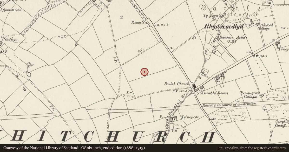 Ordnance Survey six-inch map, 2nd edition (1888–1913) covering the location of Nos. 29 & 31 Lon Isa, Rhiwbina, Cardiff, with a pin at the register's coordinates