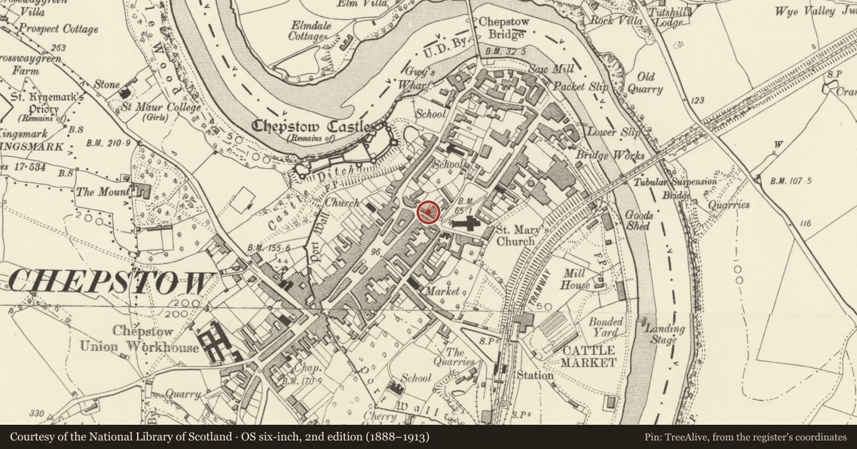 Ordnance Survey six-inch map, 2nd edition (1888–1913) covering the location of Griffin House, Chepstow, Monmouthshire, with a pin at the register's coordinates
