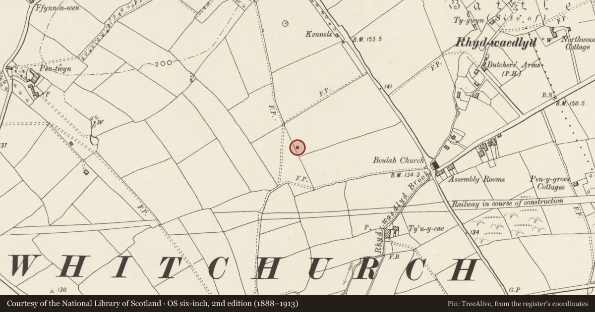 Ordnance Survey six-inch map, 2nd edition (1888–1913) covering the location of Nos. 53 & 55 Lon Isa, Rhiwbina, Cardiff, with a pin at the register's coordinates