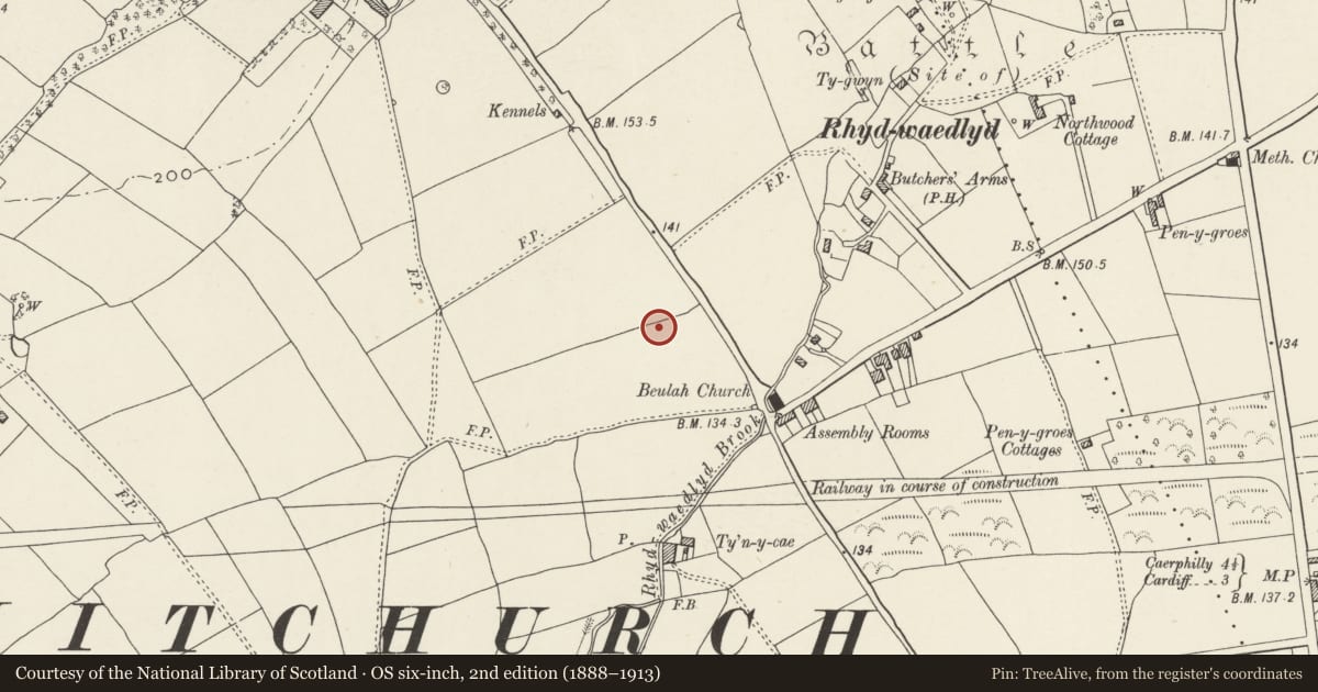 Ordnance Survey six-inch map, 2nd edition (1888–1913) covering the location of Nos. 6 & 8 Lon Isa, Rhiwbina, Cardiff, with a pin at the register's coordinates