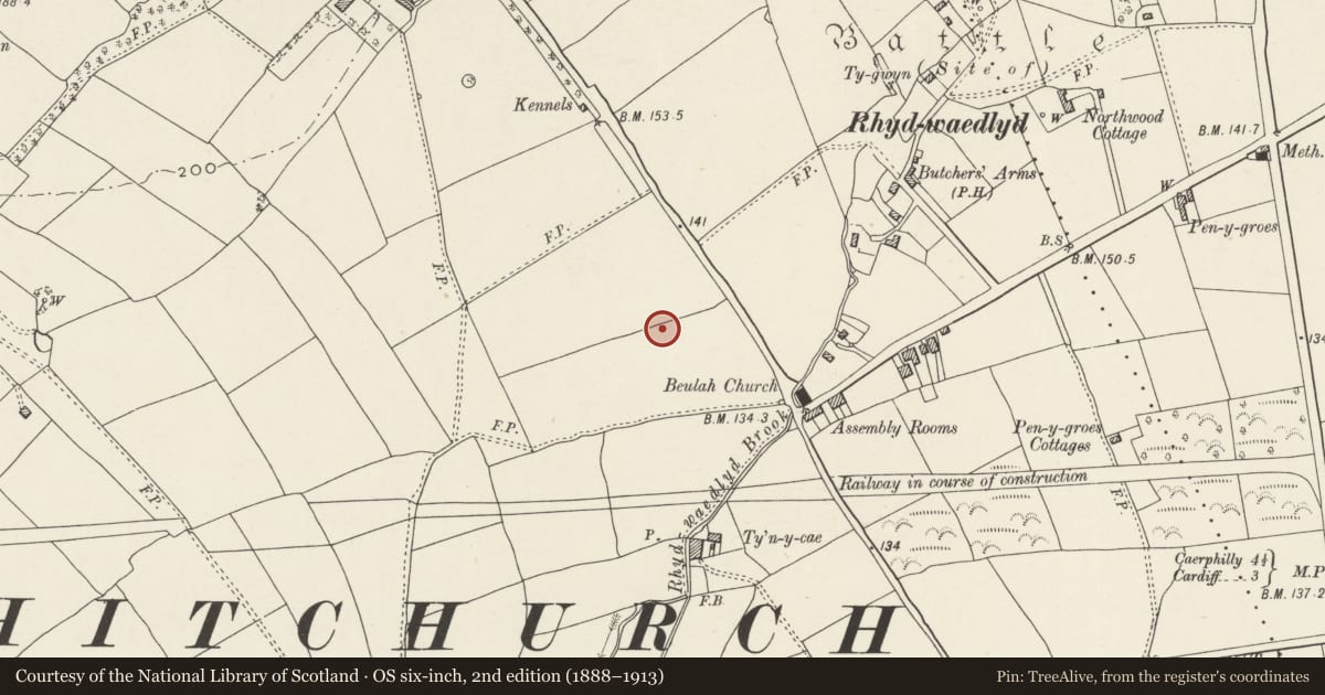 Ordnance Survey six-inch map, 2nd edition (1888–1913) covering the location of Nos. 14 & 16 Lon Isa, Rhiwbina, Cardiff, with a pin at the register's coordinates