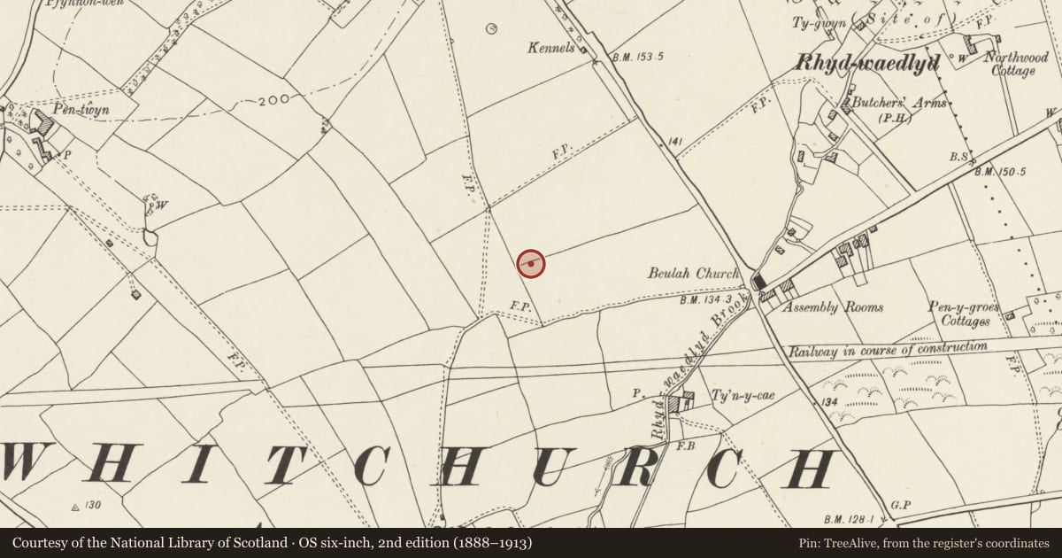 Ordnance Survey six-inch map, 2nd edition (1888–1913) covering the location of Nos. 38 & 40 Lon Isa, Rhiwbina, Cardiff, with a pin at the register's coordinates