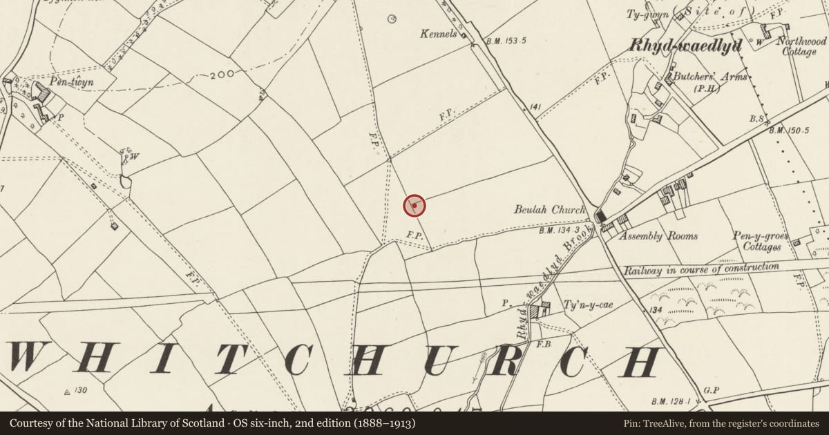 Ordnance Survey six-inch map, 2nd edition (1888–1913) covering the location of Nos. 42 & 44 Lon Isa, Rhiwbina, Cardiff, with a pin at the register's coordinates