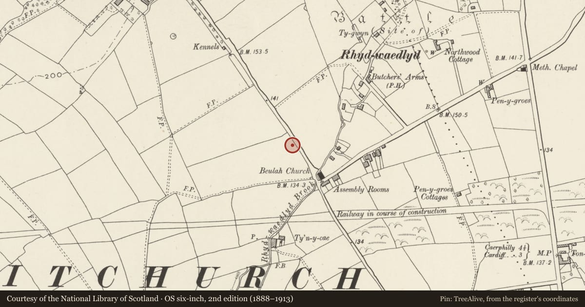 Ordnance Survey six-inch map, 2nd edition (1888–1913) covering the location of Nos. 29 & 31 Heol-y-deri, Rhiwbina, Cardiff, with a pin at the register's coordinates