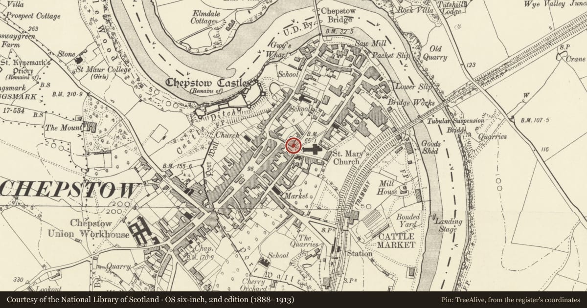 Ordnance Survey six-inch map, 2nd edition (1888–1913) covering the location of Plough House, Chepstow, Monmouthshire, with a pin at the register's coordinates