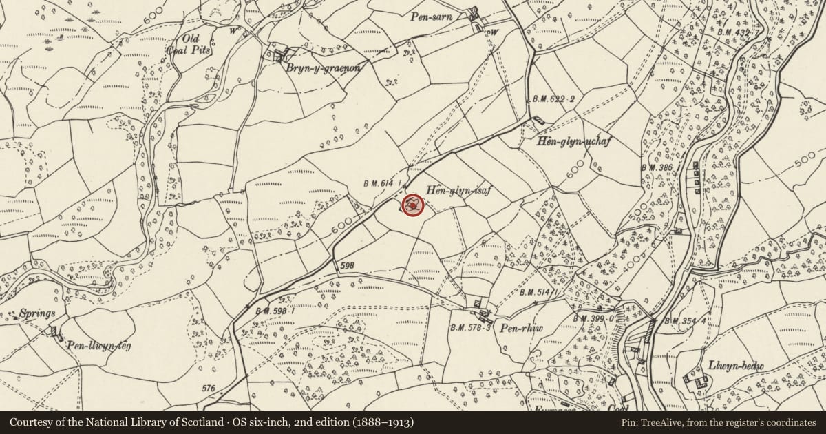 Ordnance Survey six-inch map, 2nd edition (1888–1913) covering the location of Henglyn Isaf, Ystradgynlais, Powys, with a pin at the register's coordinates