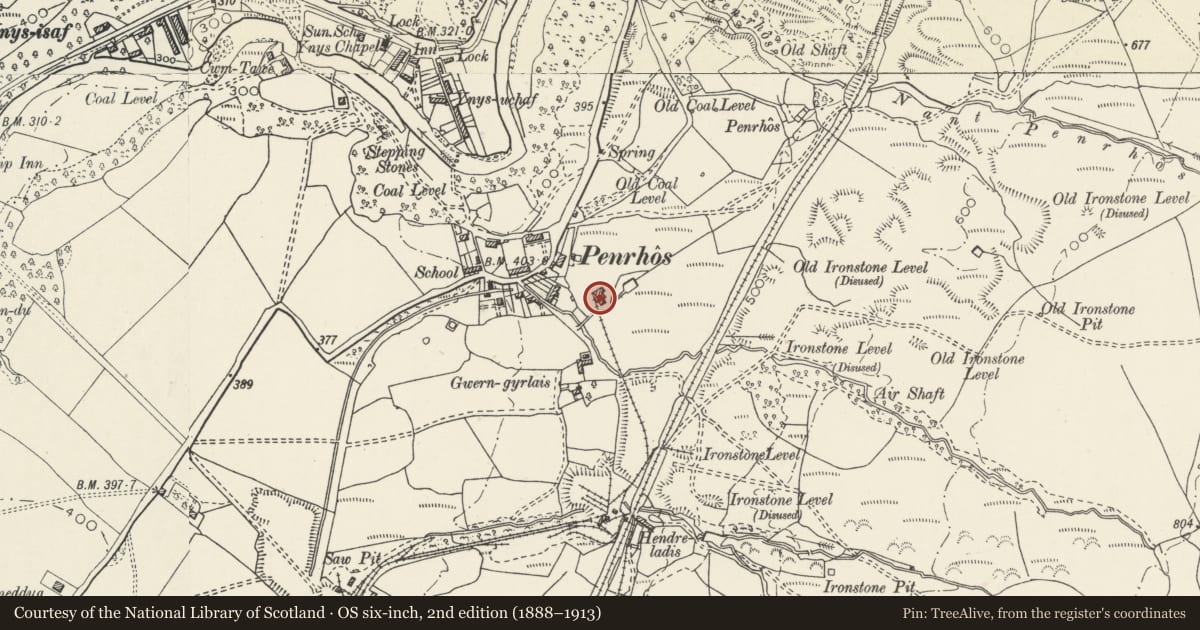 Ordnance Survey six-inch map, 2nd edition (1888–1913) covering the location of Fan house to former Ynyscedwen Mine, Ystradgynlais, Powys, with a pin at the register's coordinates