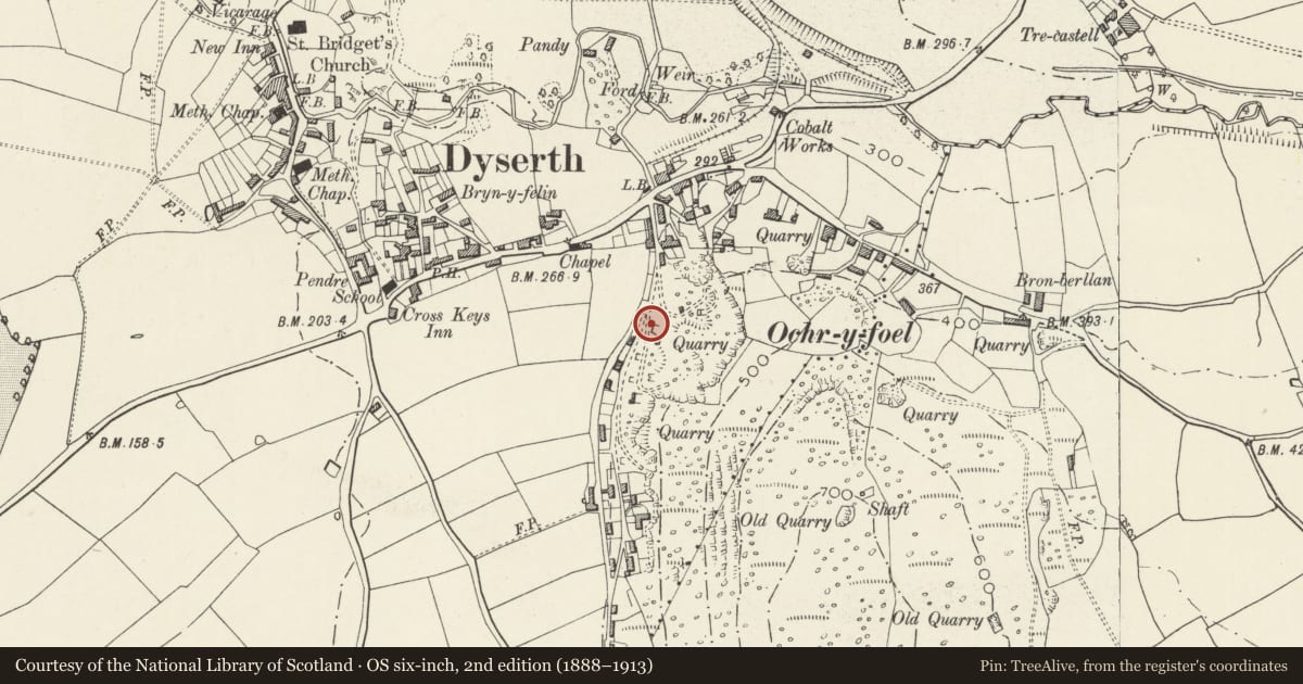 Ordnance Survey six-inch map, 2nd edition (1888–1913) covering the location of Limekiln 2 off Upper Foel Road, Dyserth, Denbighshire, with a pin at the register's coordinates