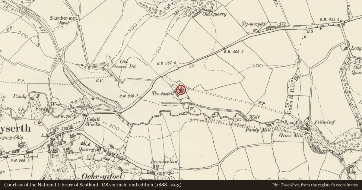 Ordnance Survey six-inch map, 2nd edition (1888–1913) covering the location of Threshing Barn at Tre-castell Farm, Dyserth, Denbighshire, with a pin at the register's coordinates