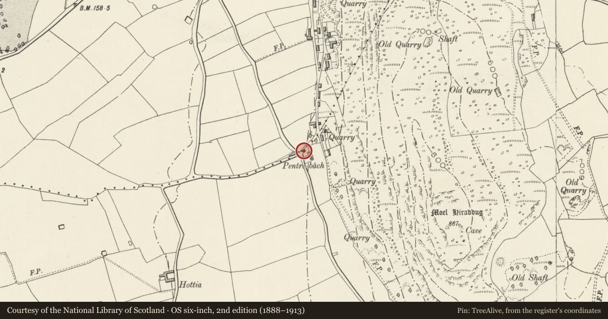 Ordnance Survey six-inch map, 2nd edition (1888–1913) covering the location of Estate Boundary Stone, Dyserth, Denbighshire, with a pin at the register's coordinates