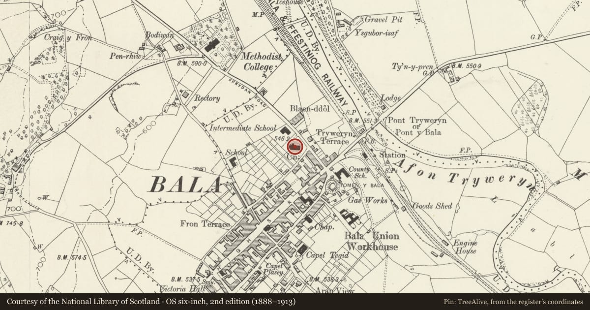 Ordnance Survey six-inch map, 2nd edition (1888–1913) covering the location of Christ Church, Bala, Gwynedd, with a pin at the register's coordinates