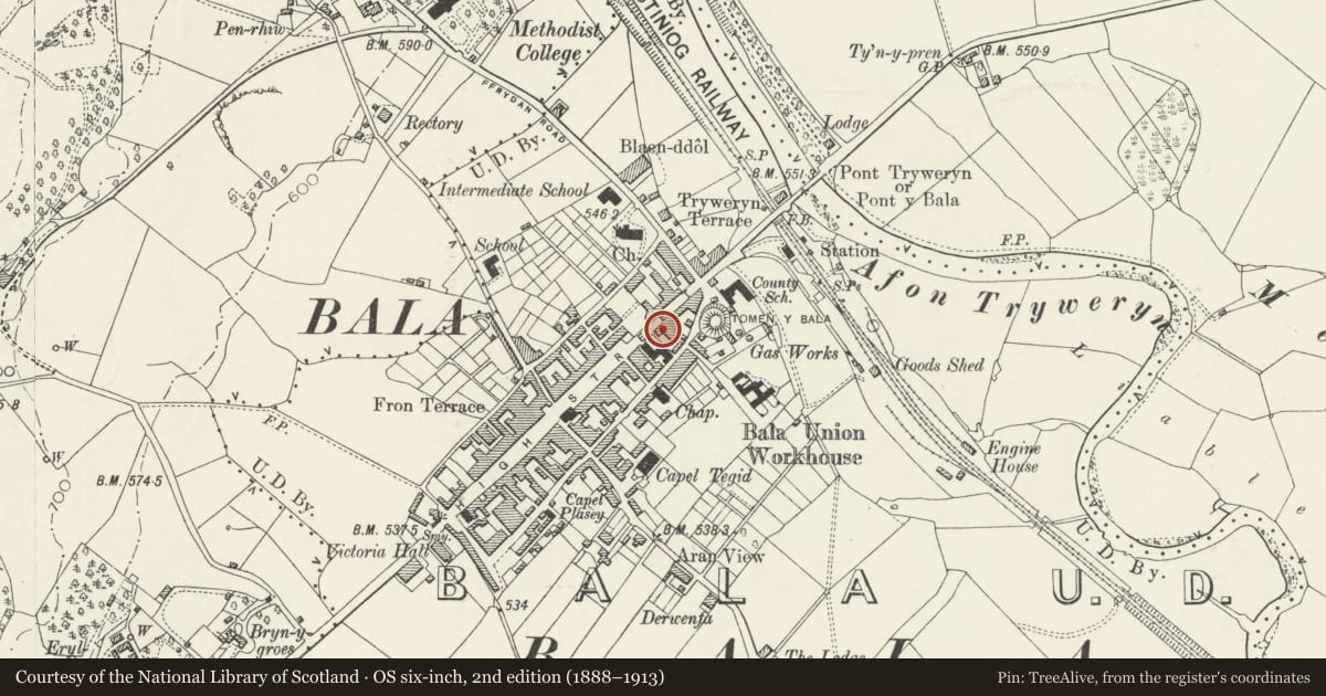 Ordnance Survey six-inch map, 2nd edition (1888–1913) covering the location of 26 High Street, including street railings, Bala, Gwynedd, with a pin at the register's coordinates