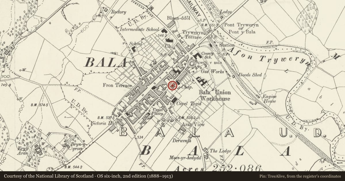 Ordnance Survey six-inch map, 2nd edition (1888–1913) covering the location of 50 Mount Street, Bala, Gwynedd, with a pin at the register's coordinates