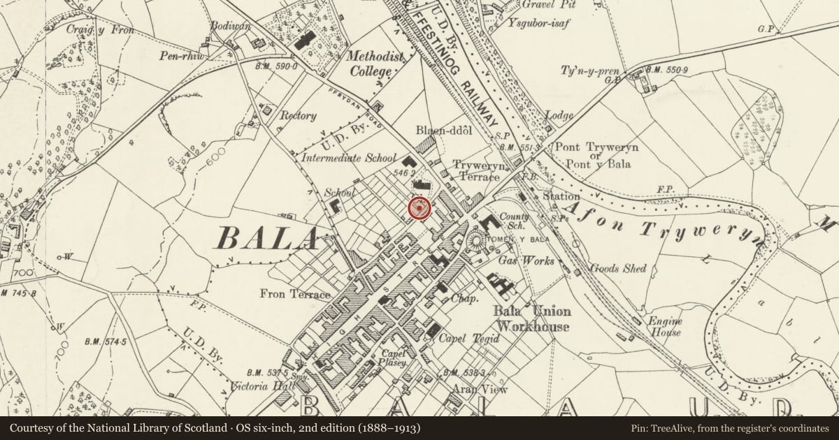 Ordnance Survey six-inch map, 2nd edition (1888–1913) covering the location of Derlwyn, Bala, Gwynedd, with a pin at the register's coordinates