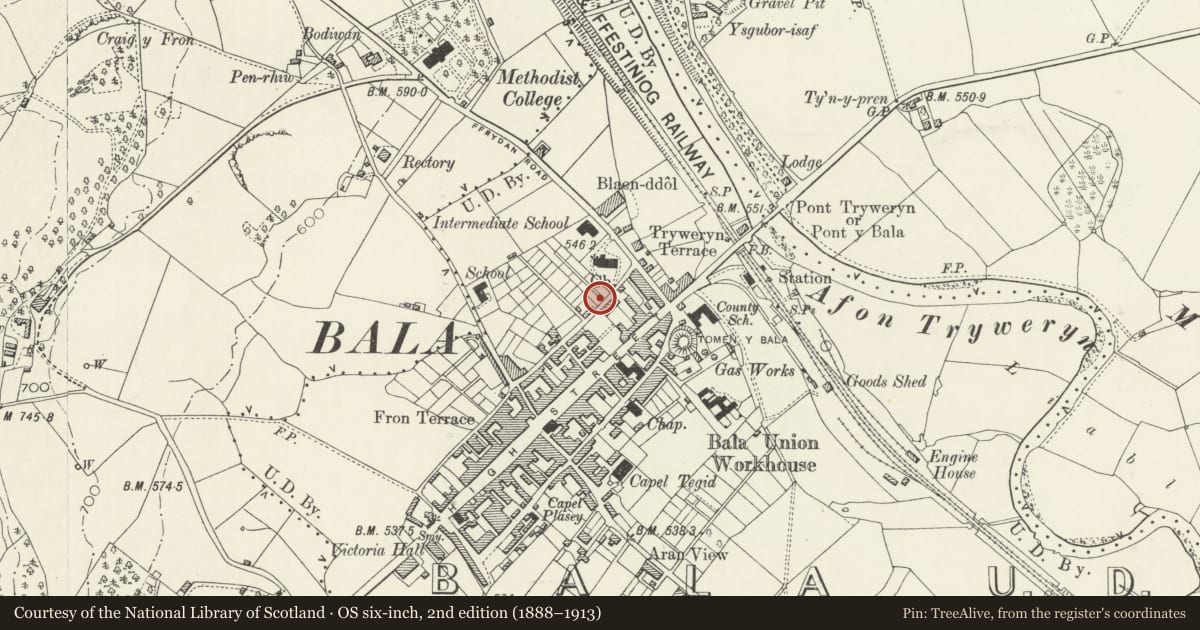 Ordnance Survey six-inch map, 2nd edition (1888–1913) covering the location of Islwyn, Bala, Gwynedd, with a pin at the register's coordinates