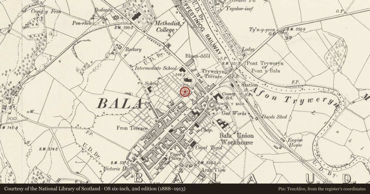 Ordnance Survey six-inch map, 2nd edition (1888–1913) covering the location of Ronville, Bala, Gwynedd, with a pin at the register's coordinates