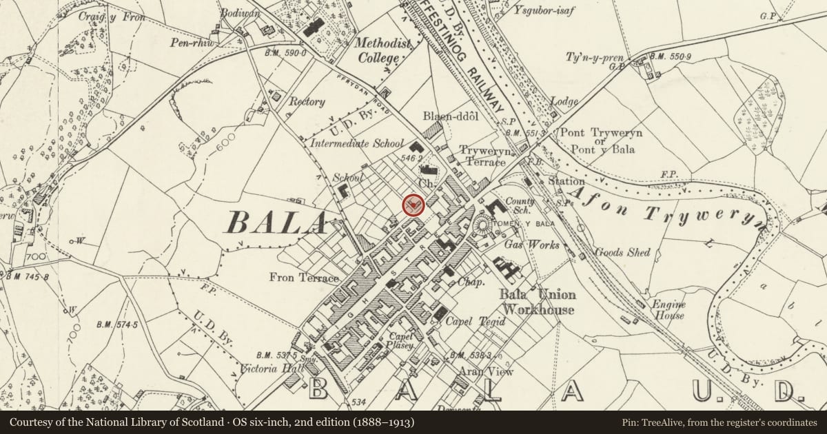 Ordnance Survey six-inch map, 2nd edition (1888–1913) covering the location of Awelfryn, Bala, Gwynedd, with a pin at the register's coordinates