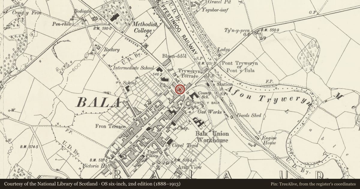 Ordnance Survey six-inch map, 2nd edition (1888–1913) covering the location of 6 Ffrydan Road, Bala, Gwynedd, with a pin at the register's coordinates
