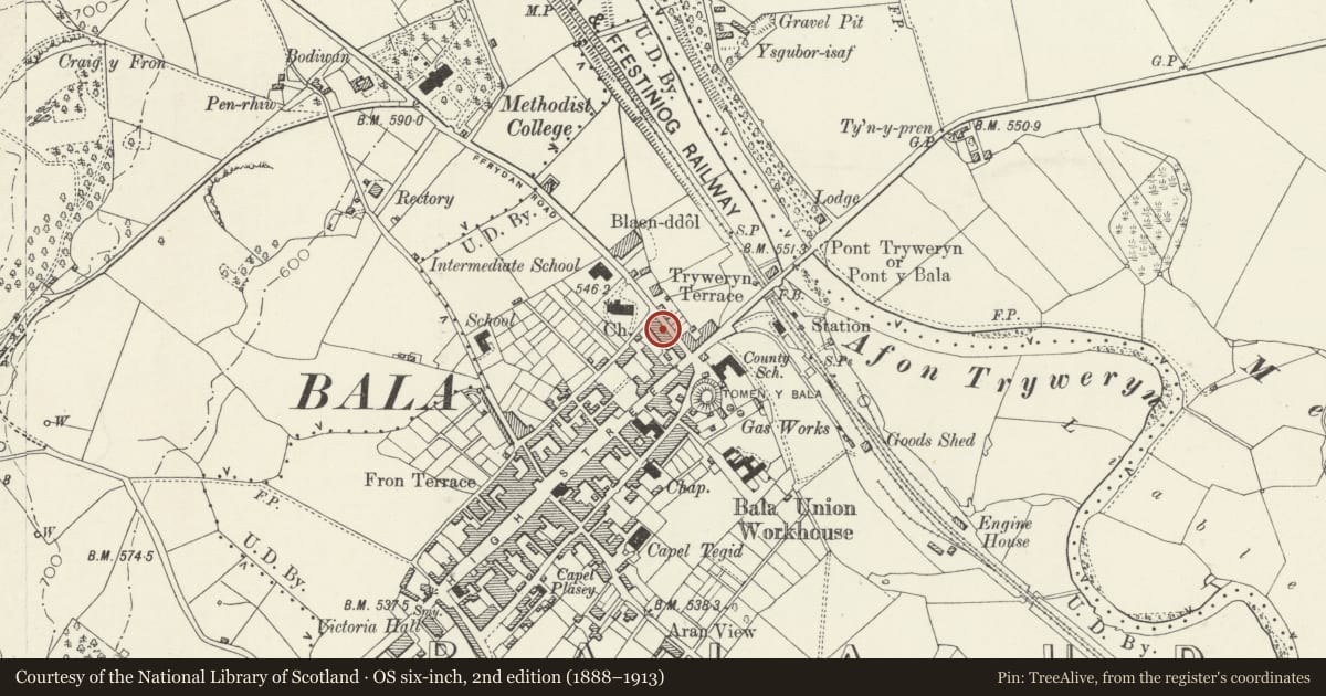 Ordnance Survey six-inch map, 2nd edition (1888–1913) covering the location of 16 Ffrydan Road, Bala, Gwynedd, with a pin at the register's coordinates