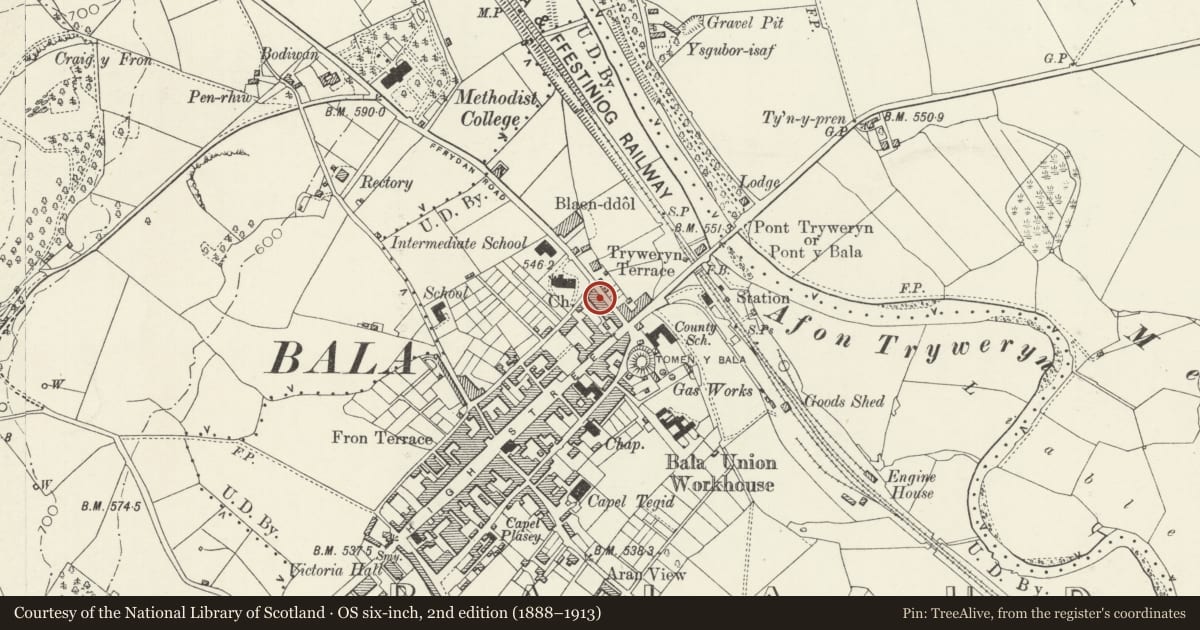Ordnance Survey six-inch map, 2nd edition (1888–1913) covering the location of 18 Ffrydan Road, Bala, Gwynedd, with a pin at the register's coordinates