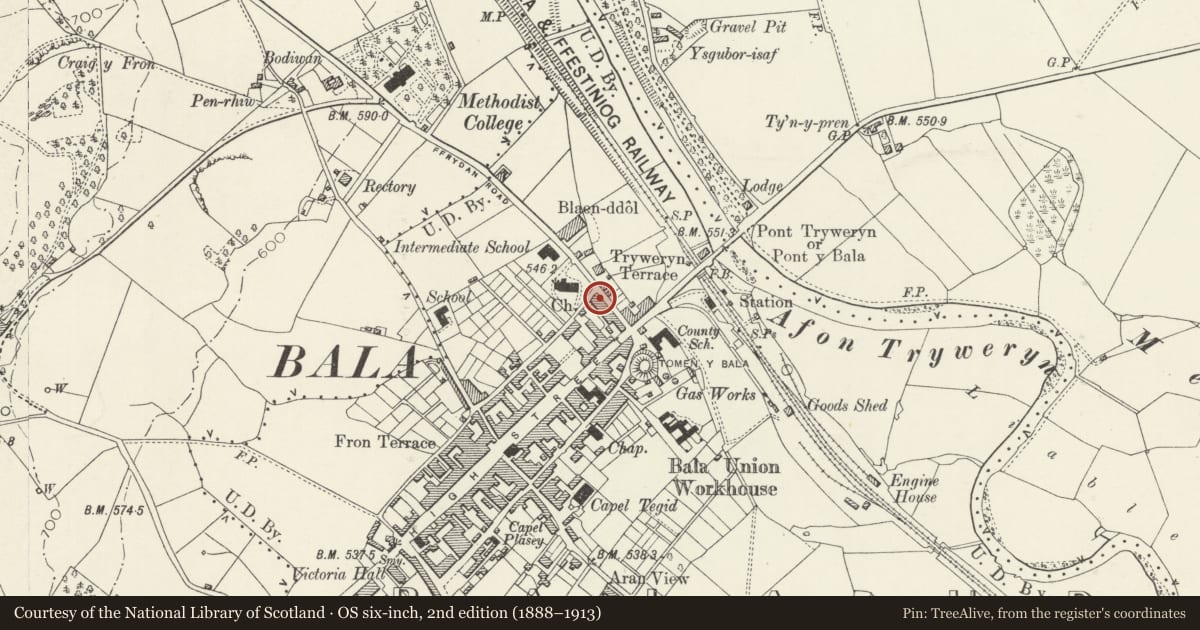 Ordnance Survey six-inch map, 2nd edition (1888–1913) covering the location of 20 Ffrydan Road, Bala, Gwynedd, with a pin at the register's coordinates