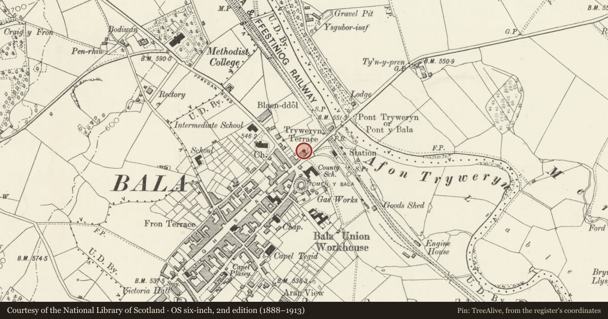 Ordnance Survey six-inch map, 2nd edition (1888–1913) covering the location of Trem-y-fron, Including Forecourt Walls & Railings, Bala, Gwynedd, with a pin at the register's coordinates
