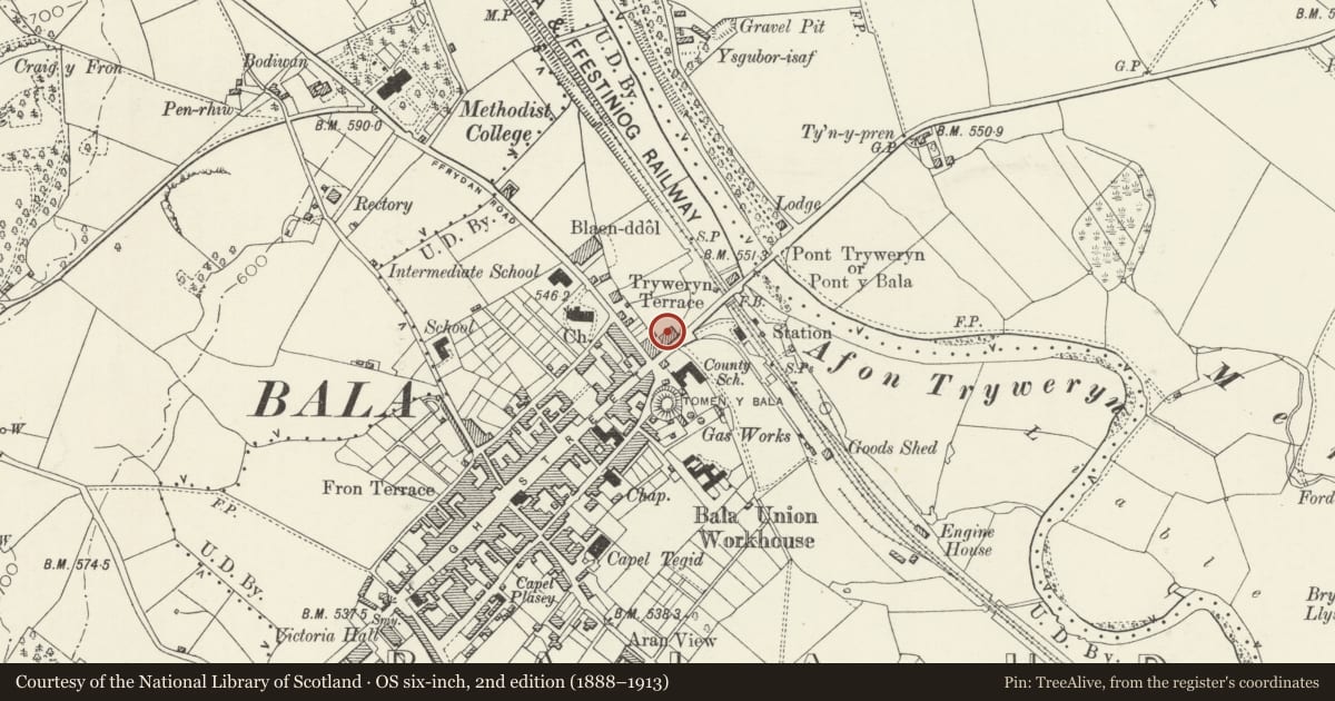 Ordnance Survey six-inch map, 2nd edition (1888–1913) covering the location of Glasfryn, Bala, Gwynedd, with a pin at the register's coordinates