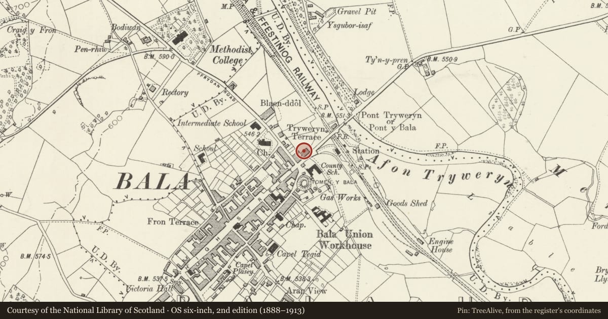 Ordnance Survey six-inch map, 2nd edition (1888–1913) covering the location of Ariunfa, Bala, Gwynedd, with a pin at the register's coordinates