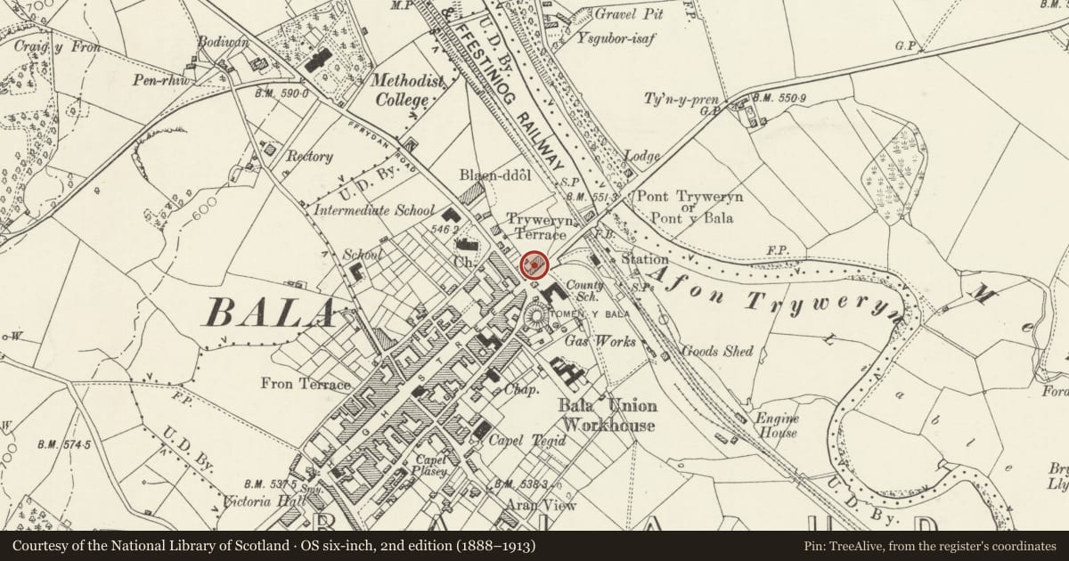 Ordnance Survey six-inch map, 2nd edition (1888–1913) covering the location of Bronallt, Bala, Gwynedd, with a pin at the register's coordinates