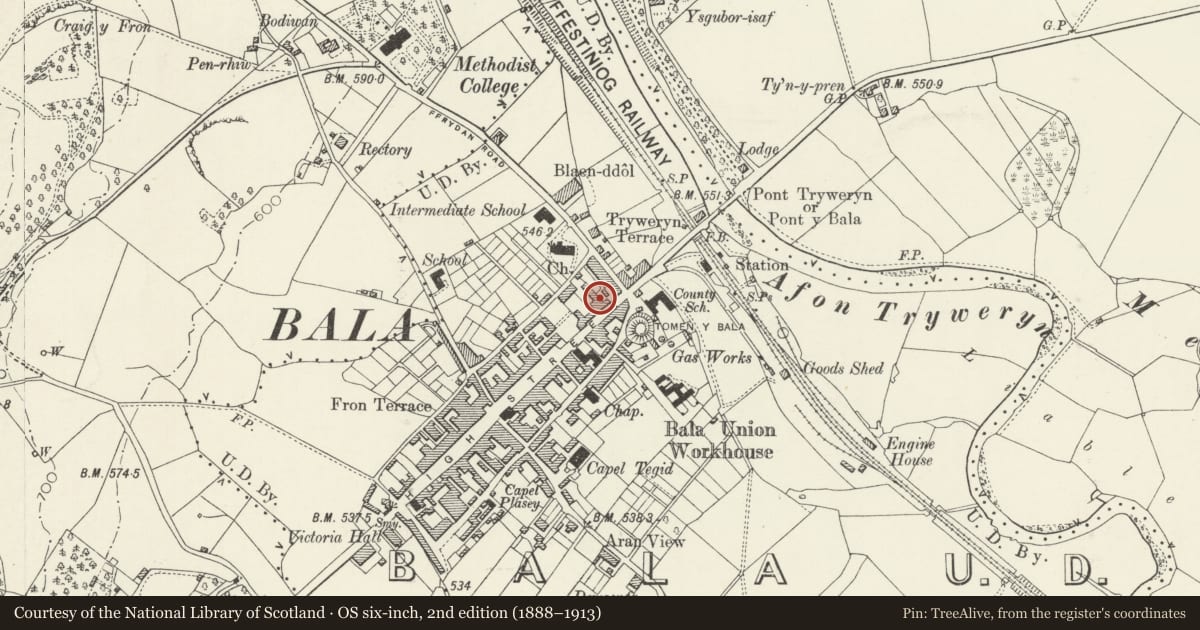 Ordnance Survey six-inch map, 2nd edition (1888–1913) covering the location of Ty GM, Bala, Gwynedd, with a pin at the register's coordinates
