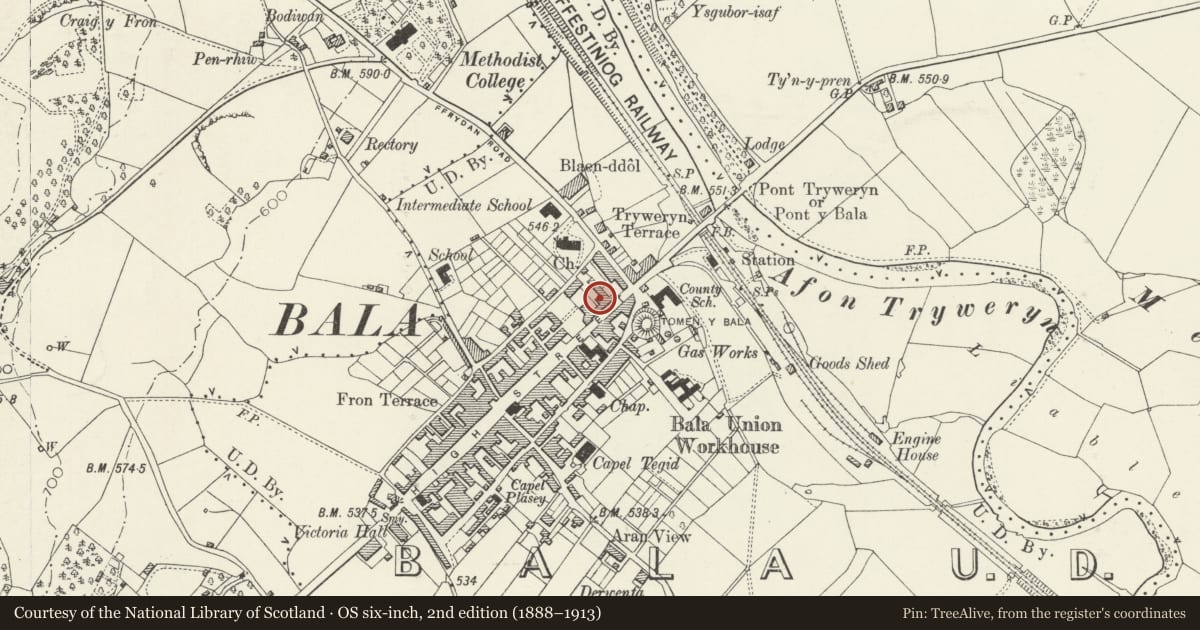Ordnance Survey six-inch map, 2nd edition (1888–1913) covering the location of R.H. Roberts, Bala, Gwynedd, with a pin at the register's coordinates