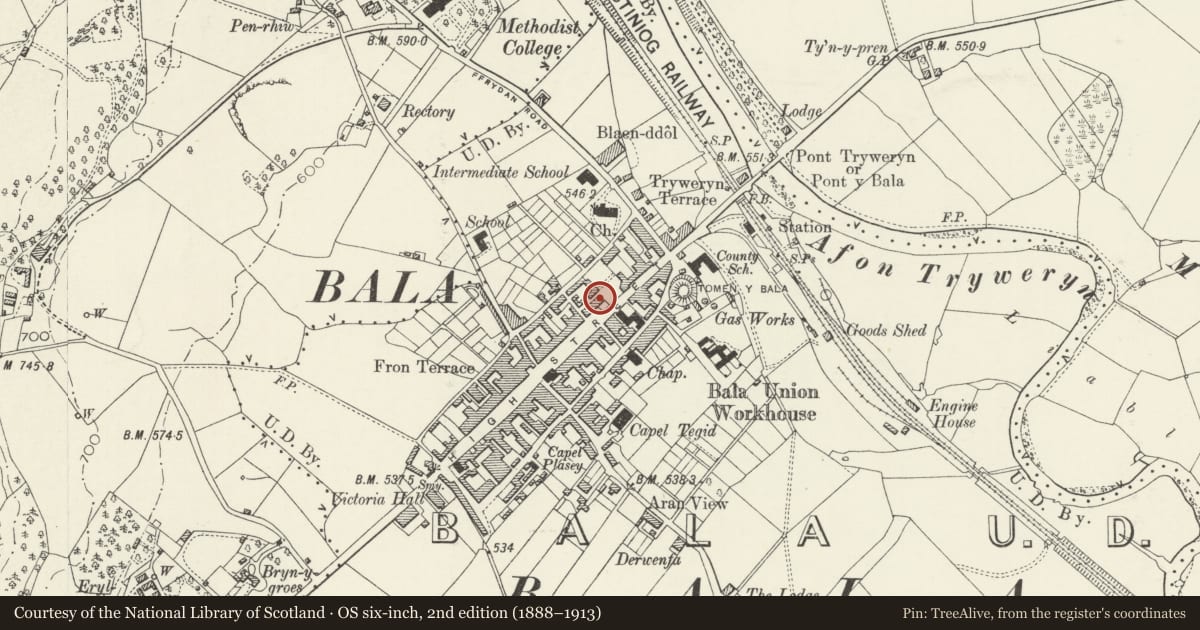 Ordnance Survey six-inch map, 2nd edition (1888–1913) covering the location of Plas-yn-Dre, Including Railings to Forecourt, Bala, Gwynedd, with a pin at the register's coordinates