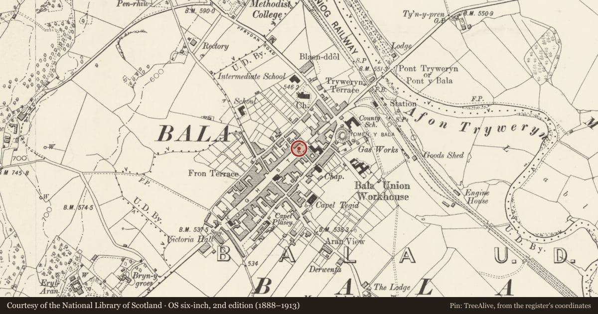 Ordnance Survey six-inch map, 2nd edition (1888–1913) covering the location of Statue Of T.E. Ellis, Bala, Gwynedd, with a pin at the register's coordinates