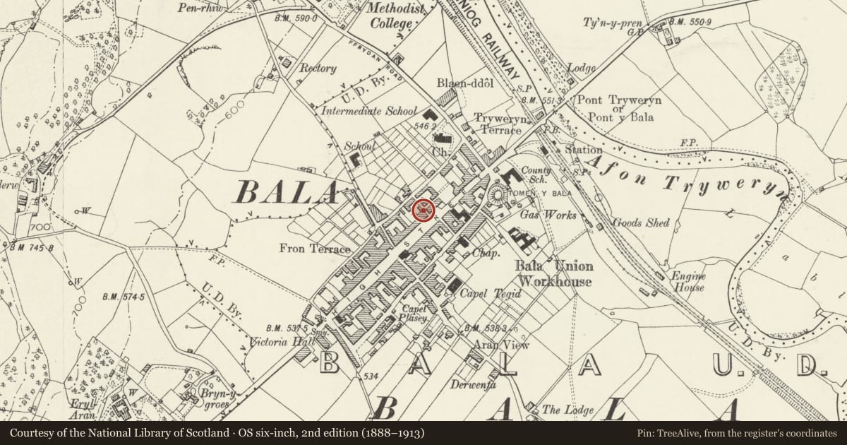 Ordnance Survey six-inch map, 2nd edition (1888–1913) covering the location of Siop DE, Bala, Gwynedd, with a pin at the register's coordinates