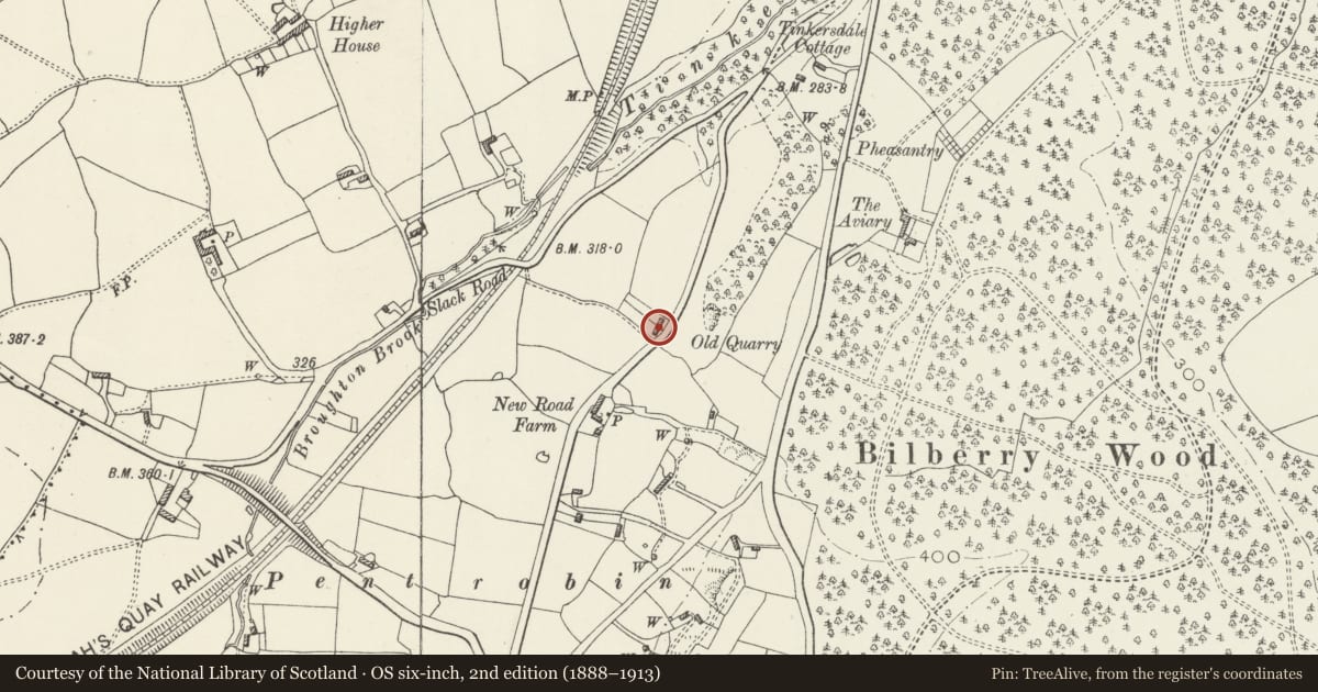 Ordnance Survey six-inch map, 2nd edition (1888–1913) covering the location of Squire's Thatched (Formaly listed as Thatched Cottages), Hawarden, Flintshire, with a pin at the register's coordinates