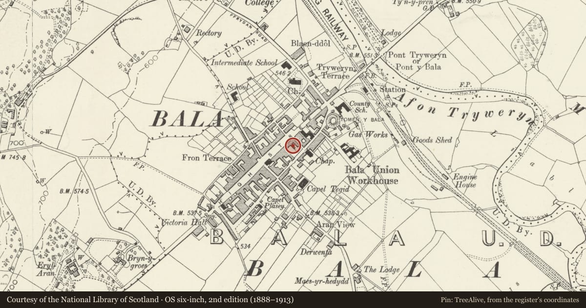 Ordnance Survey six-inch map, 2nd edition (1888–1913) covering the location of Ken Davies Newsagent, Bala, Gwynedd, with a pin at the register's coordinates